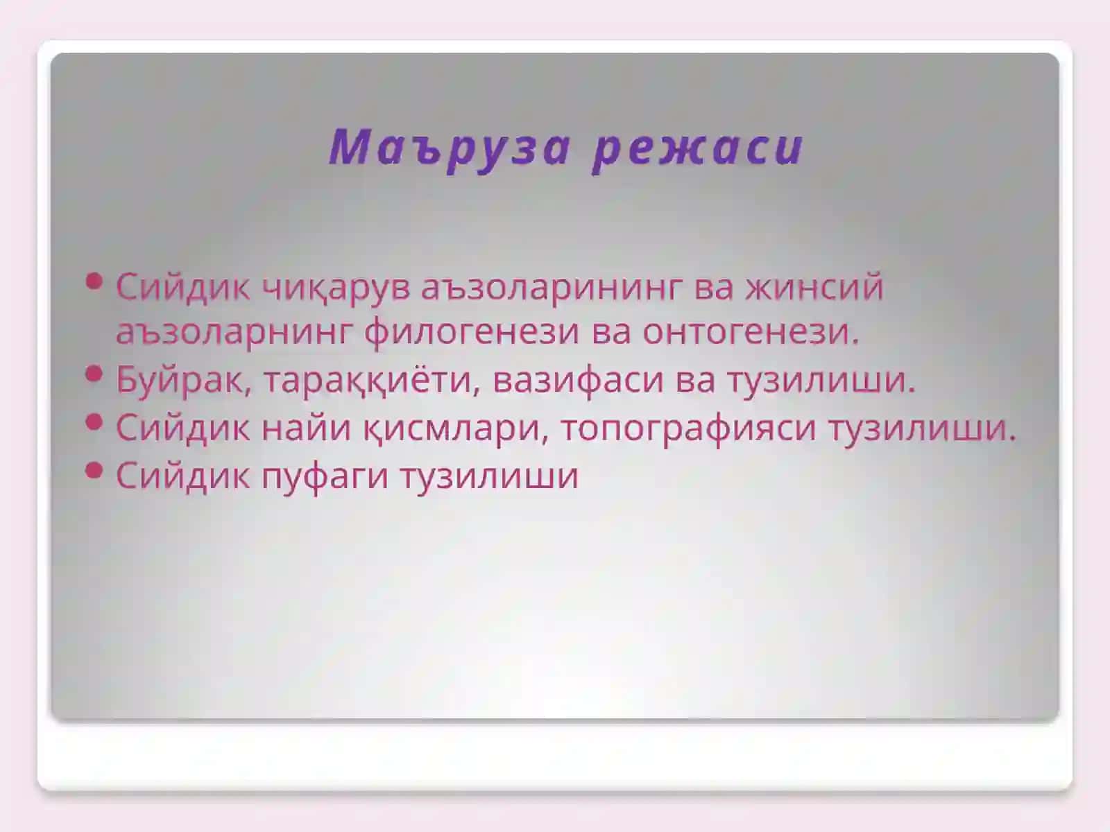 СИЙДИК ЧИҚАРУВ АЪЗОЛАРИНИНГ ФУНКЦИОНАЛ АНАТОМИЯСИ 3