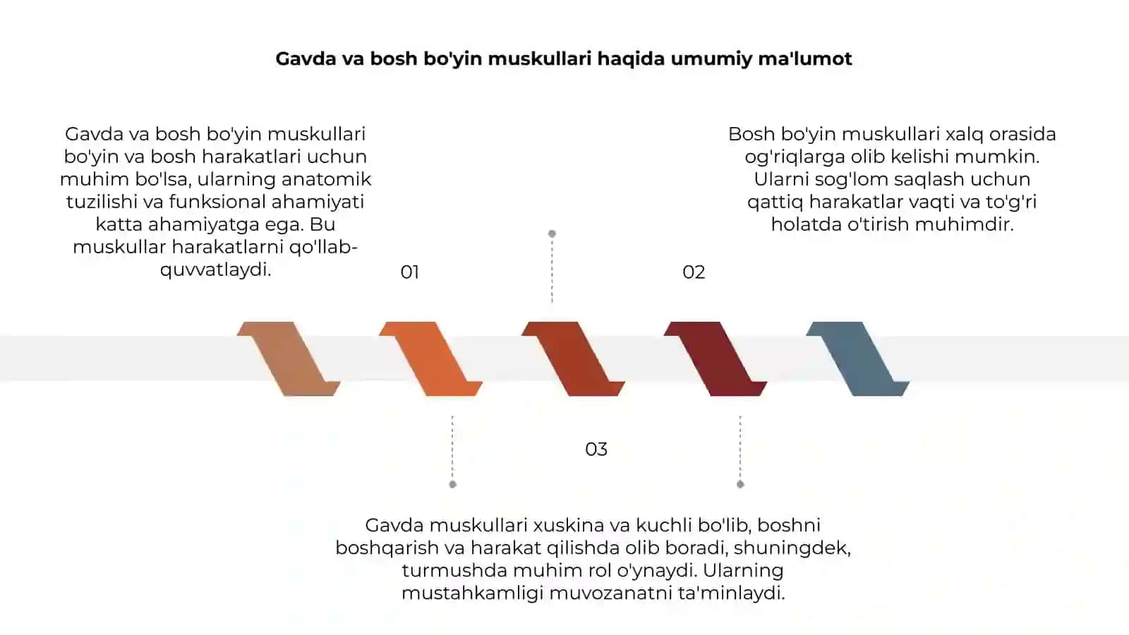 Gavda va bosh bo'yin muskullari 3
