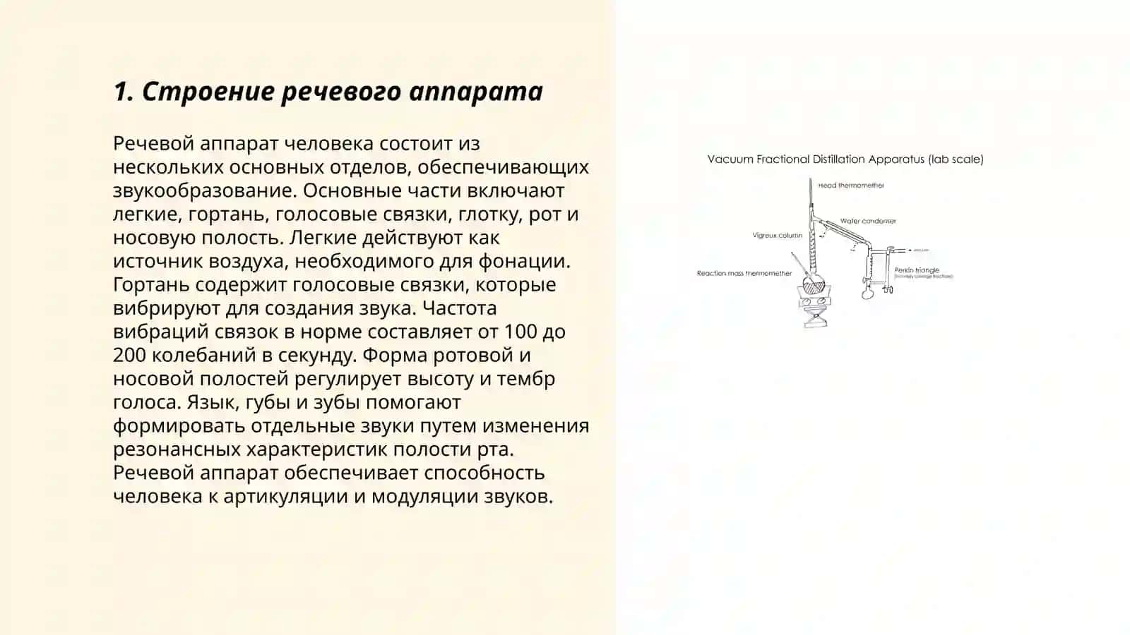 Речевой аппарат 3