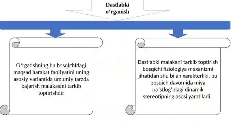 Harakatlarga o’rgatish bosqichlarining tuzilish asoslari 3