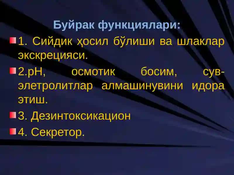 Буйрак биокимёси 3