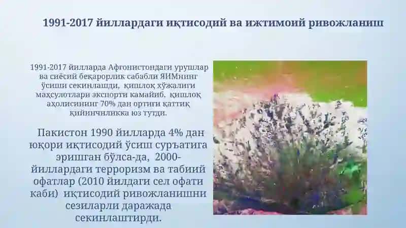 1991-2017 йиллардаги Покистон ва Афғонистон: иқтисодий ва ижтимоий ривожланиш 3