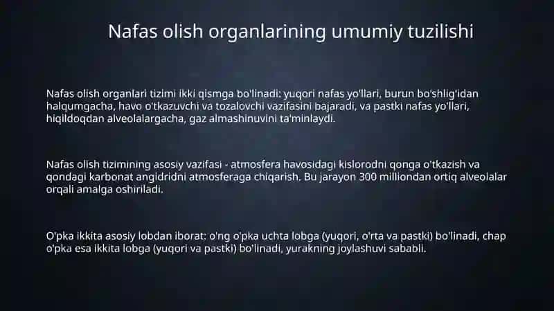 Nafas olish organlarining tuzilishi 3