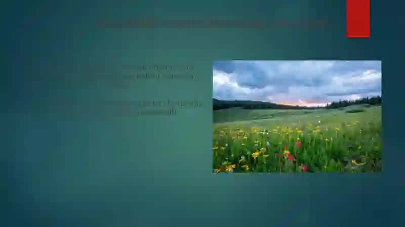 Landshaftlarning balandilik mintaqalanishi va landshaft yaruslari 3
