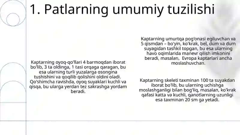 Kaptararning skeleti va pat tuzilishi 3