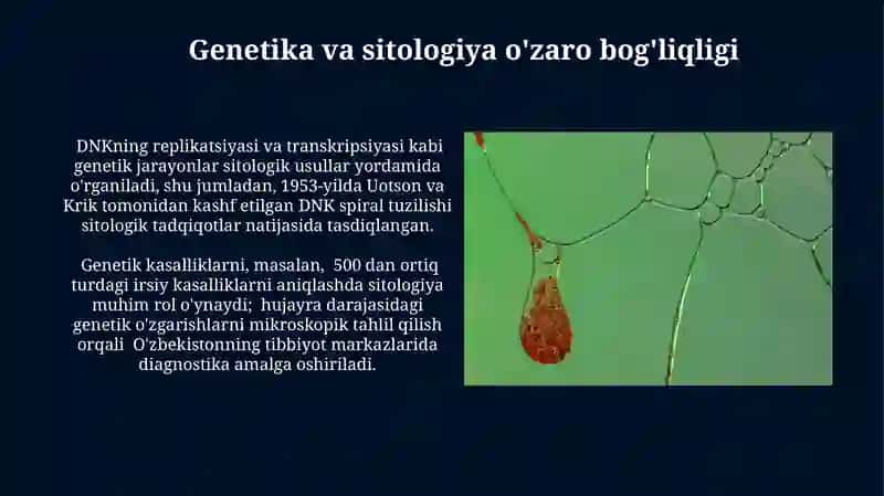 Genetika va sitologiya o'zaro bog'liqligi 3