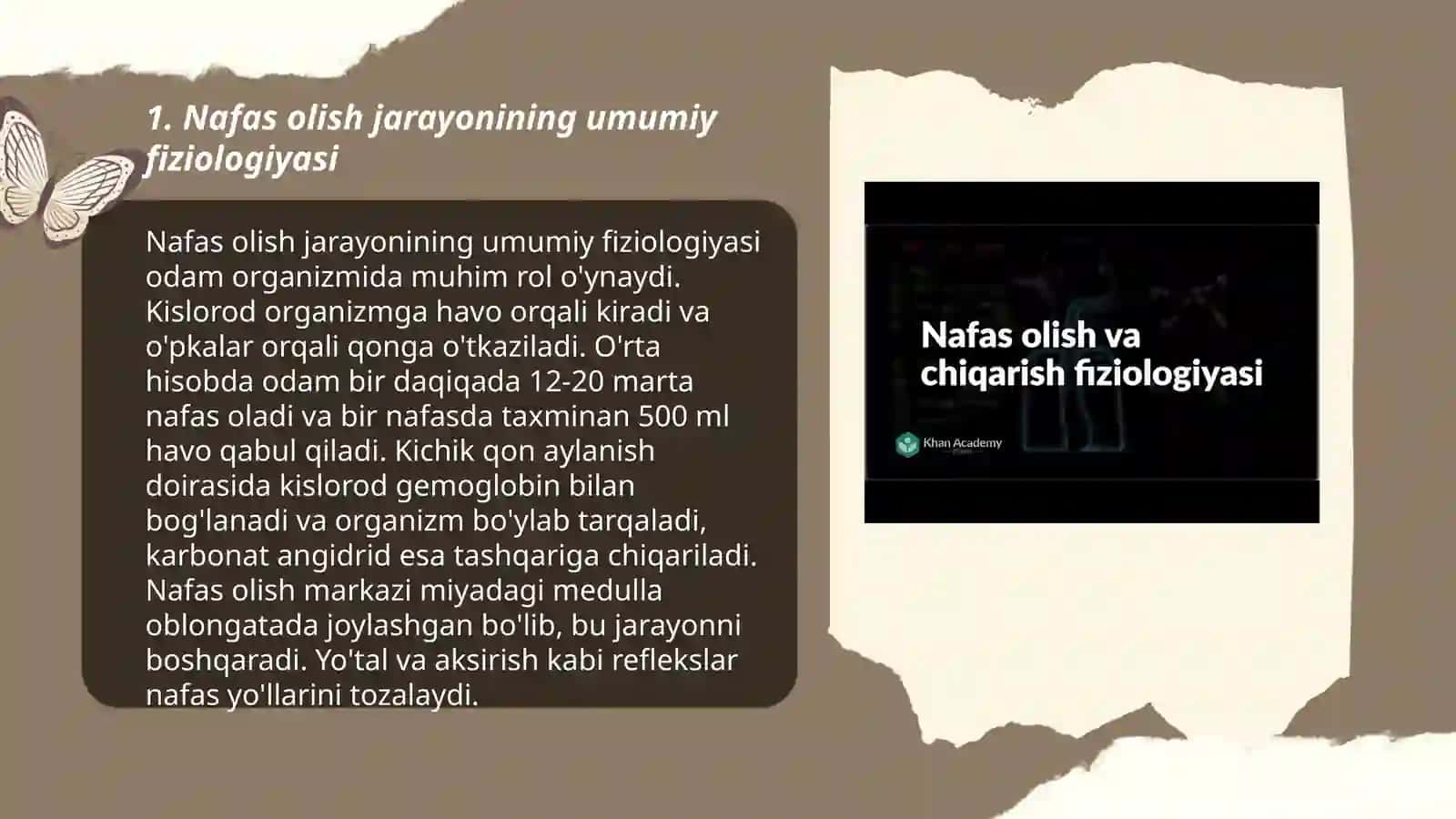 Nafas olish fiziologiyasi 3