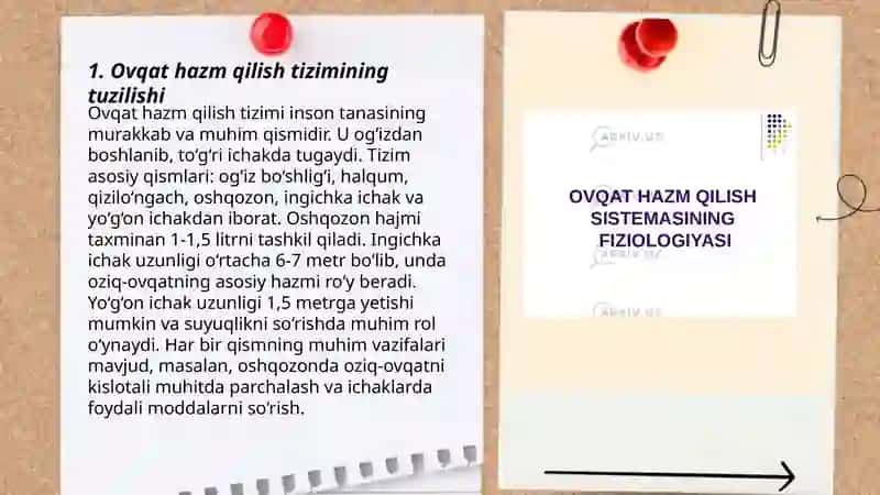 Ingichka ichak va yoʻgʻon ichakda hazm fiziologiyasi 3