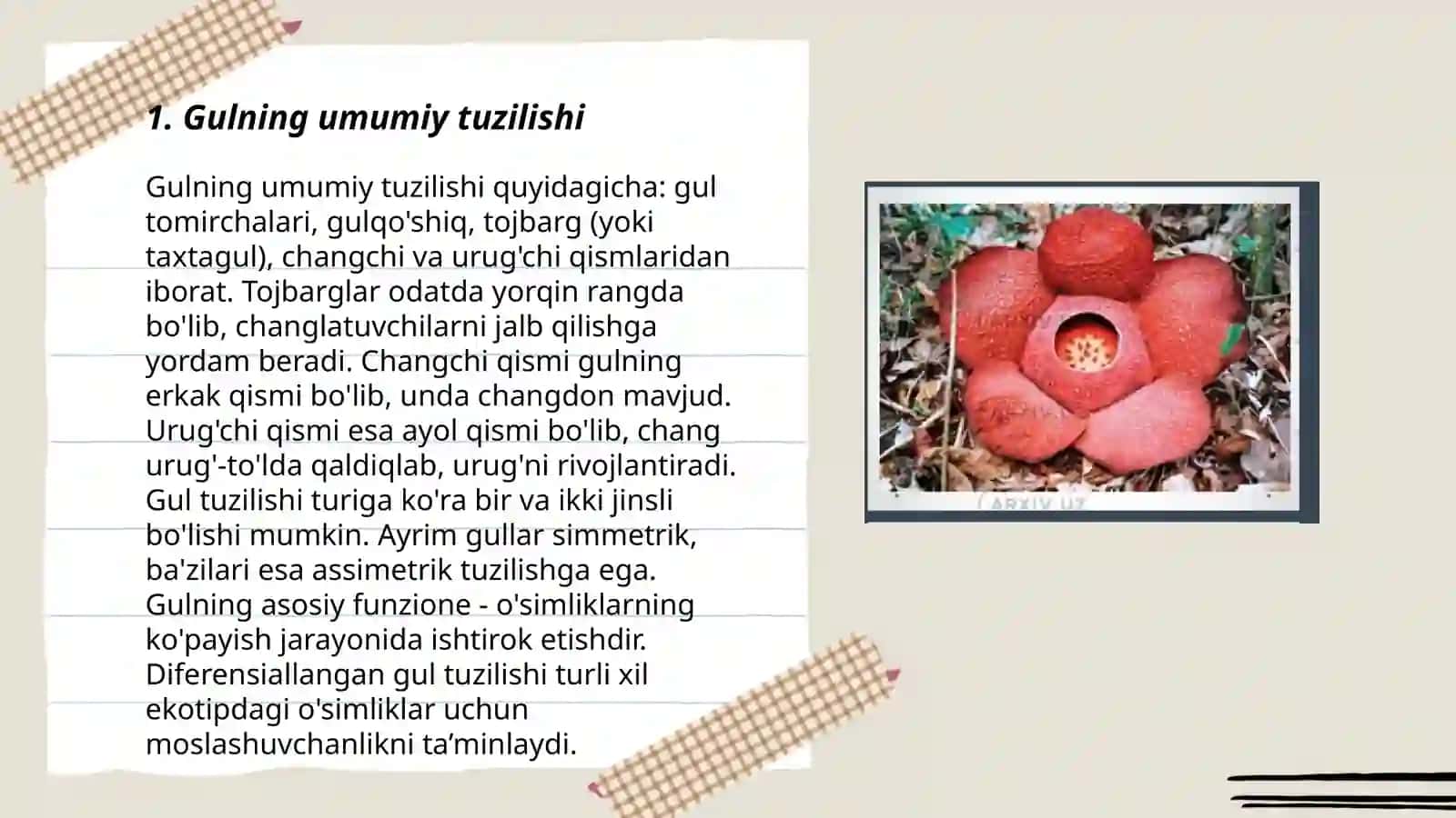 Gulning umumiy tuzilishi 3