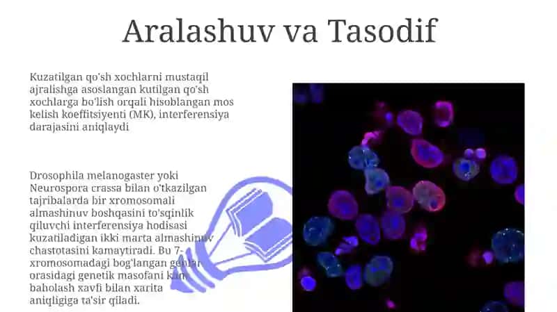 Belgilarning birikkan xolda irsiylanishi koʻp tomonlama alelizim 3