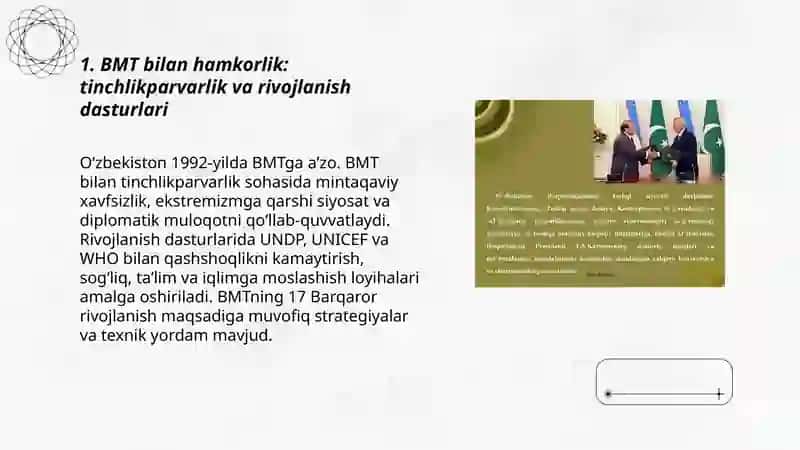 BMT bilan hamkorlik: tinchlikparvarlik va rivojlanish dasturlari 3