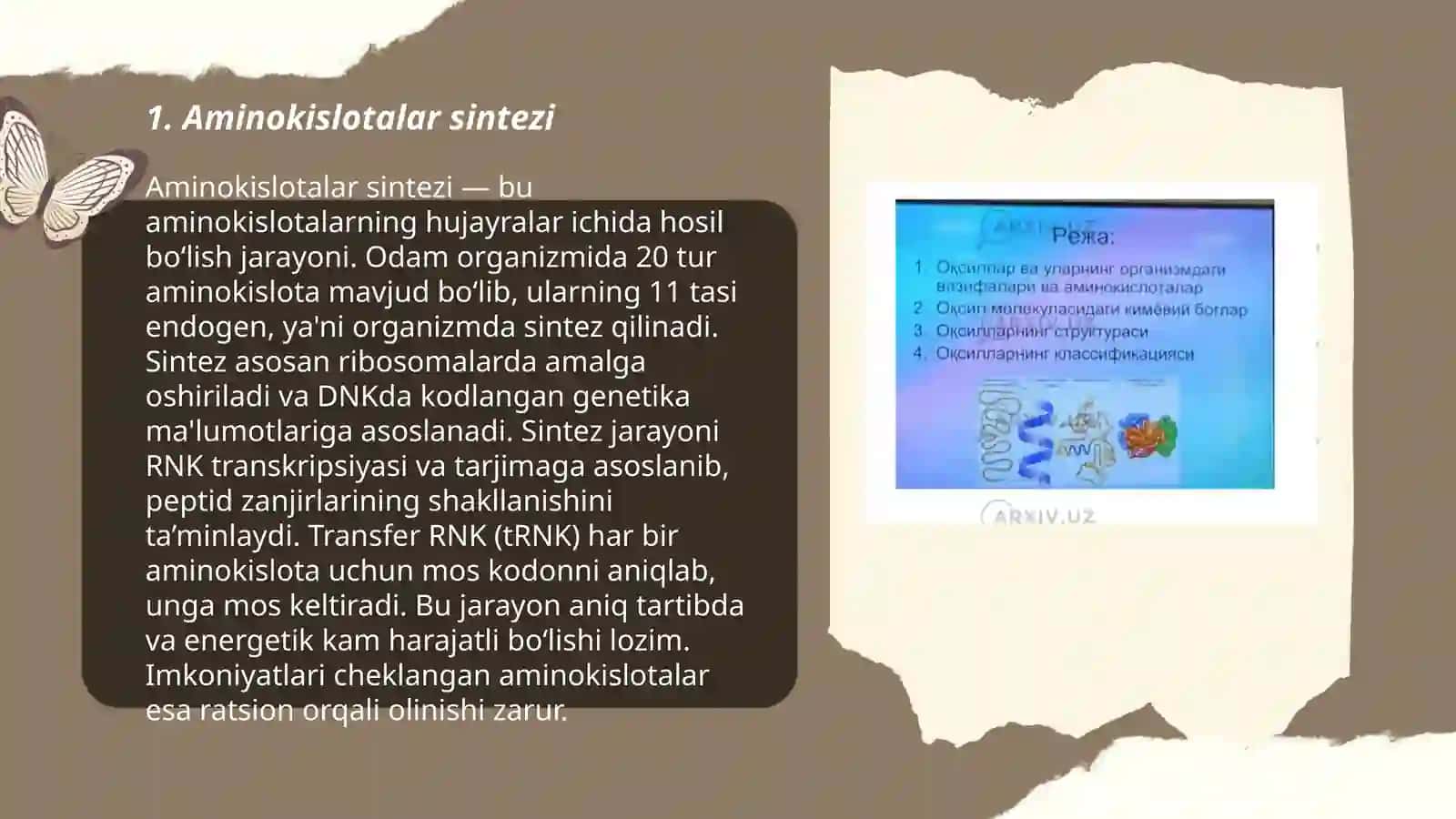 Aminokislotalar, nukleotidlar va ularning metabolizmi bilan bogliq molekulalar 3