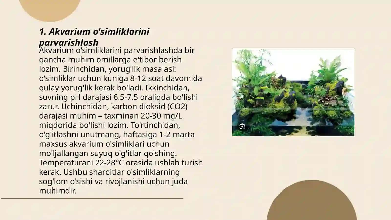Akvarium va terariumda yashovchilarning parvarishlash shart sharoitlar yaratish 3