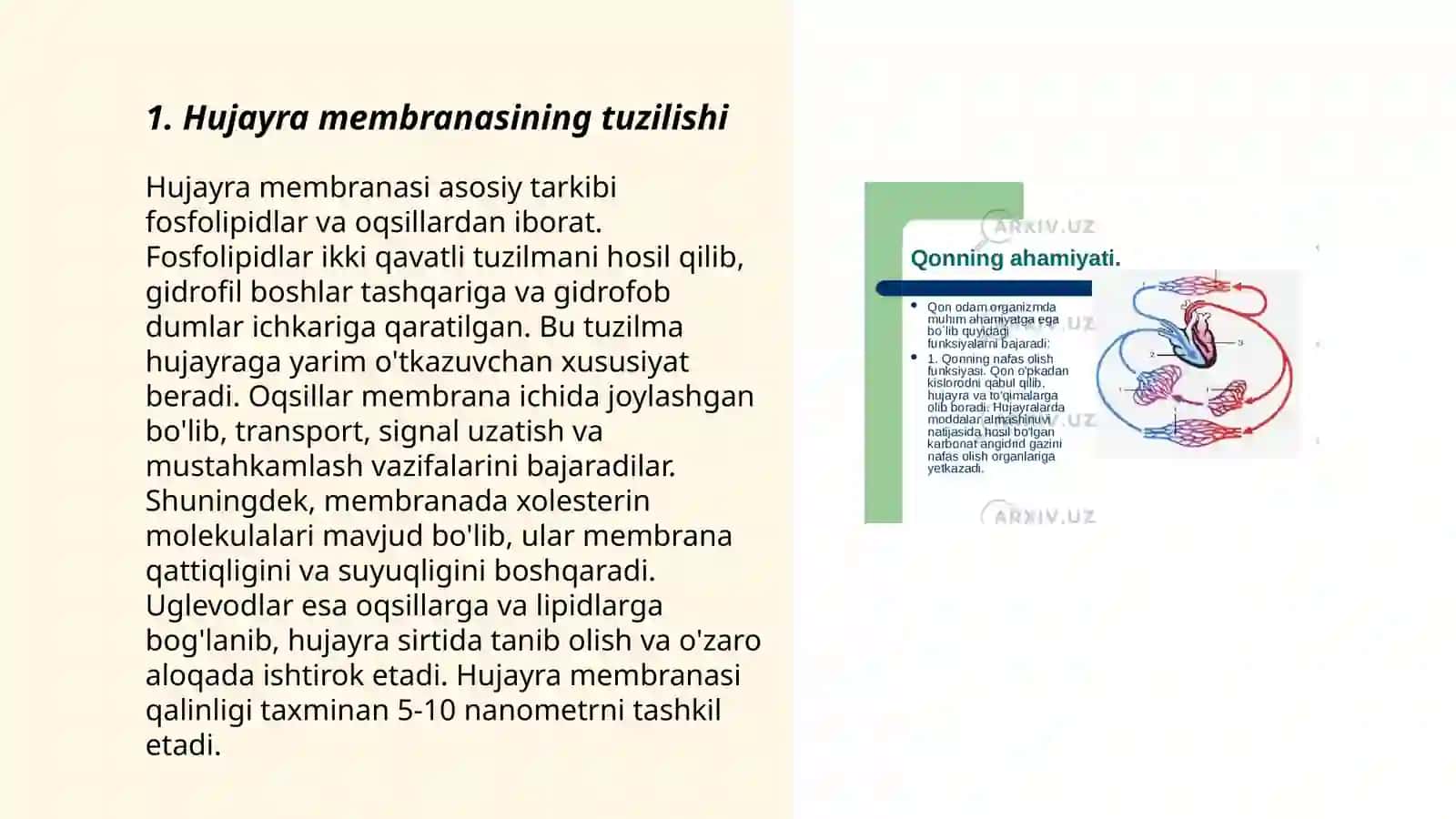 Hujayra membranasi orqali moddalarning passiv va aktiv transporti 3