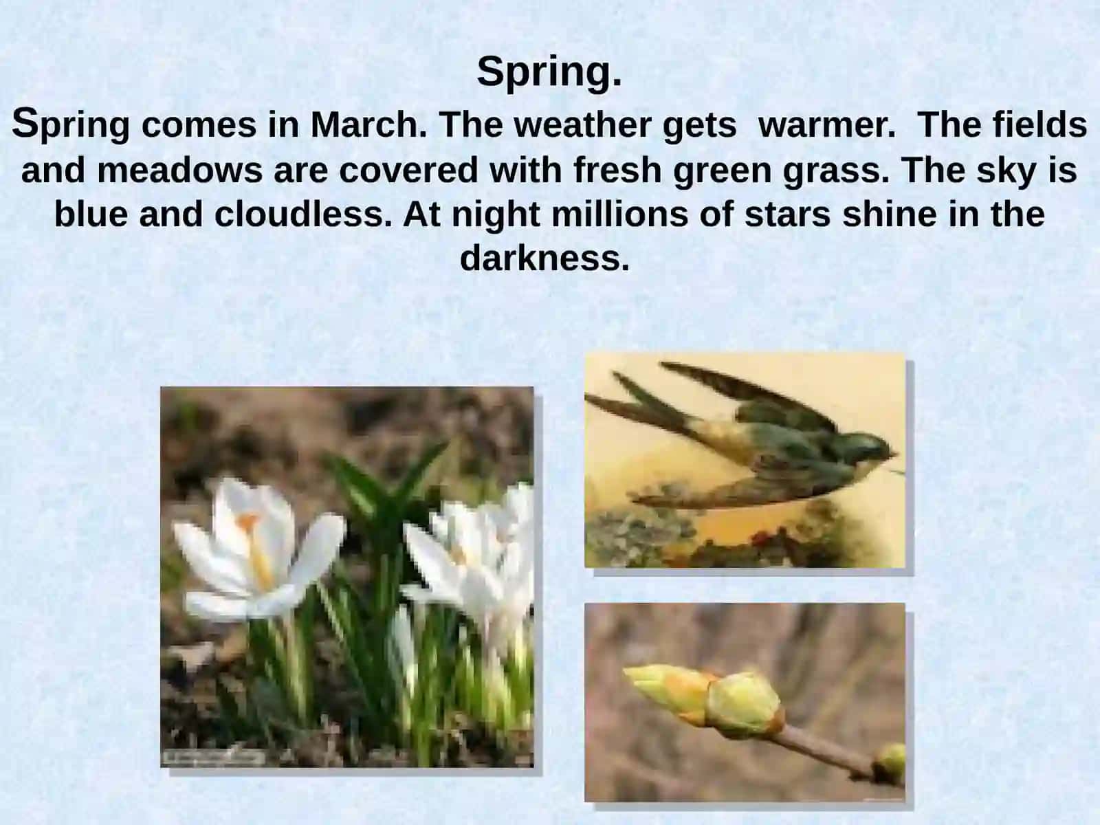 6-sinf Ingliz tili fanidan Weather and the seasons dars taqdimoti 3