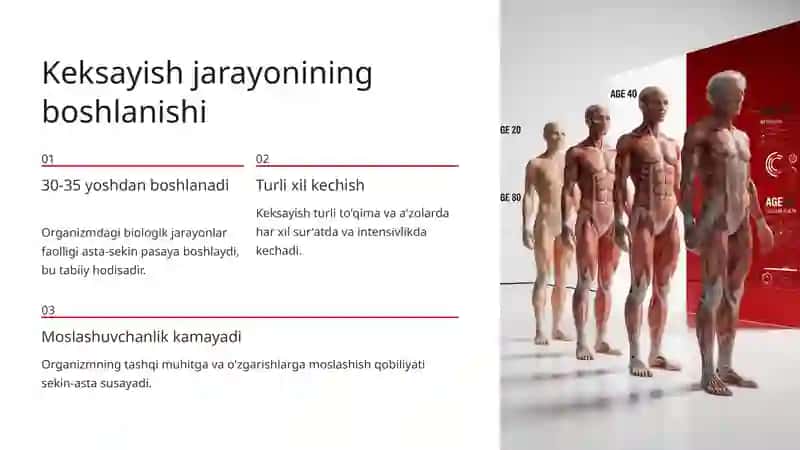 Organizmdagi Keksayish Davriga Xos O'zgarishlar 3