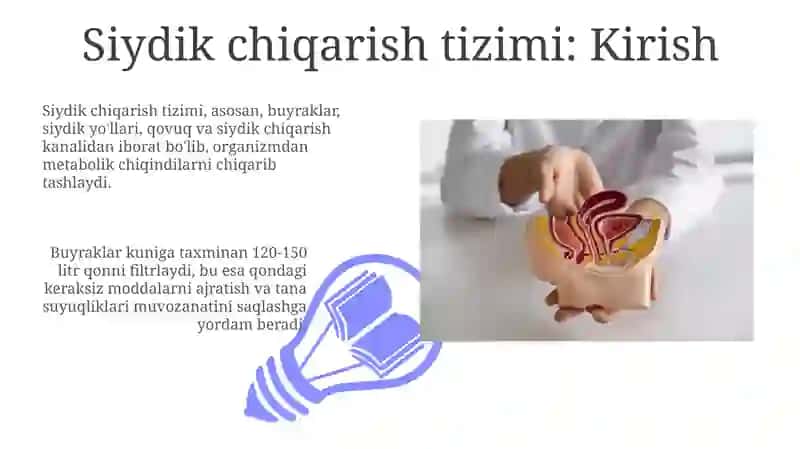 Siydik Ayiruv Sistemasi 3
