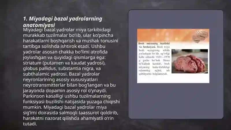 Bosh miya yarim sharlar poʻstlogʻining fiziologiyasi.Bazal yadrolar 3