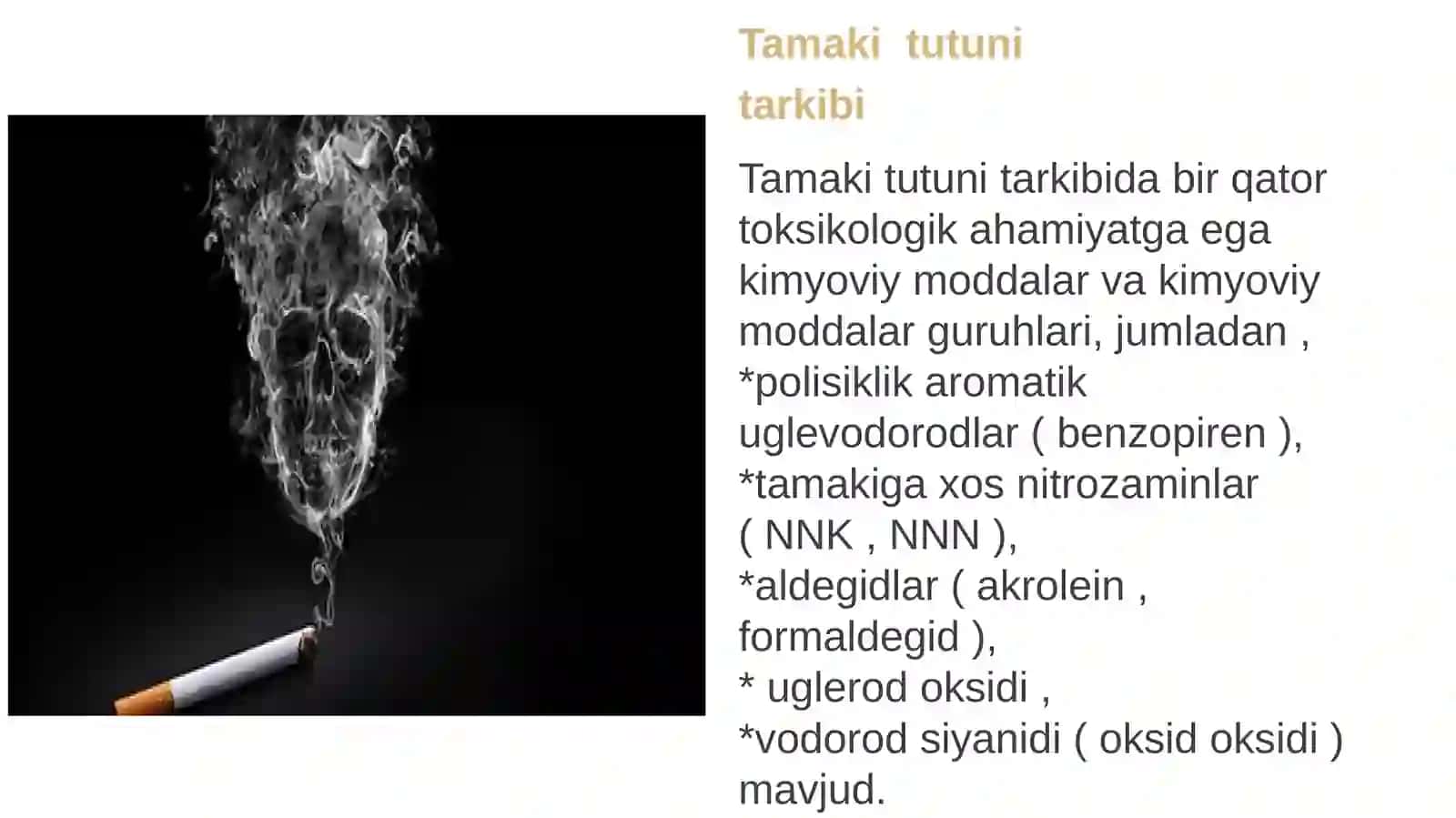 Tamakidagi benz(a)pirenni o'pkada neoplastik jarayonlar rivojlanishidagi ta'siri 3