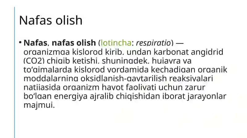 O'pka kasalliklarini dastlabki tashxislash 3