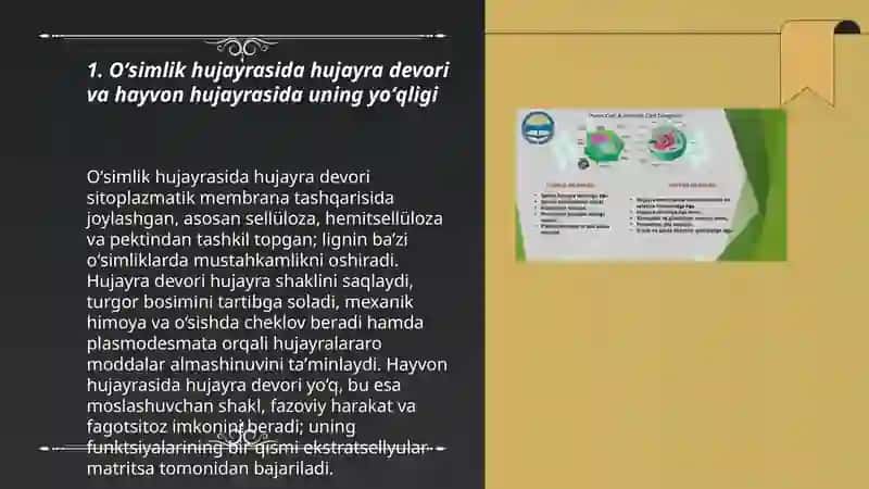 Oʻsimlik va hayvon hujayrasining farqi va oʻxshashlik belgilari 3
