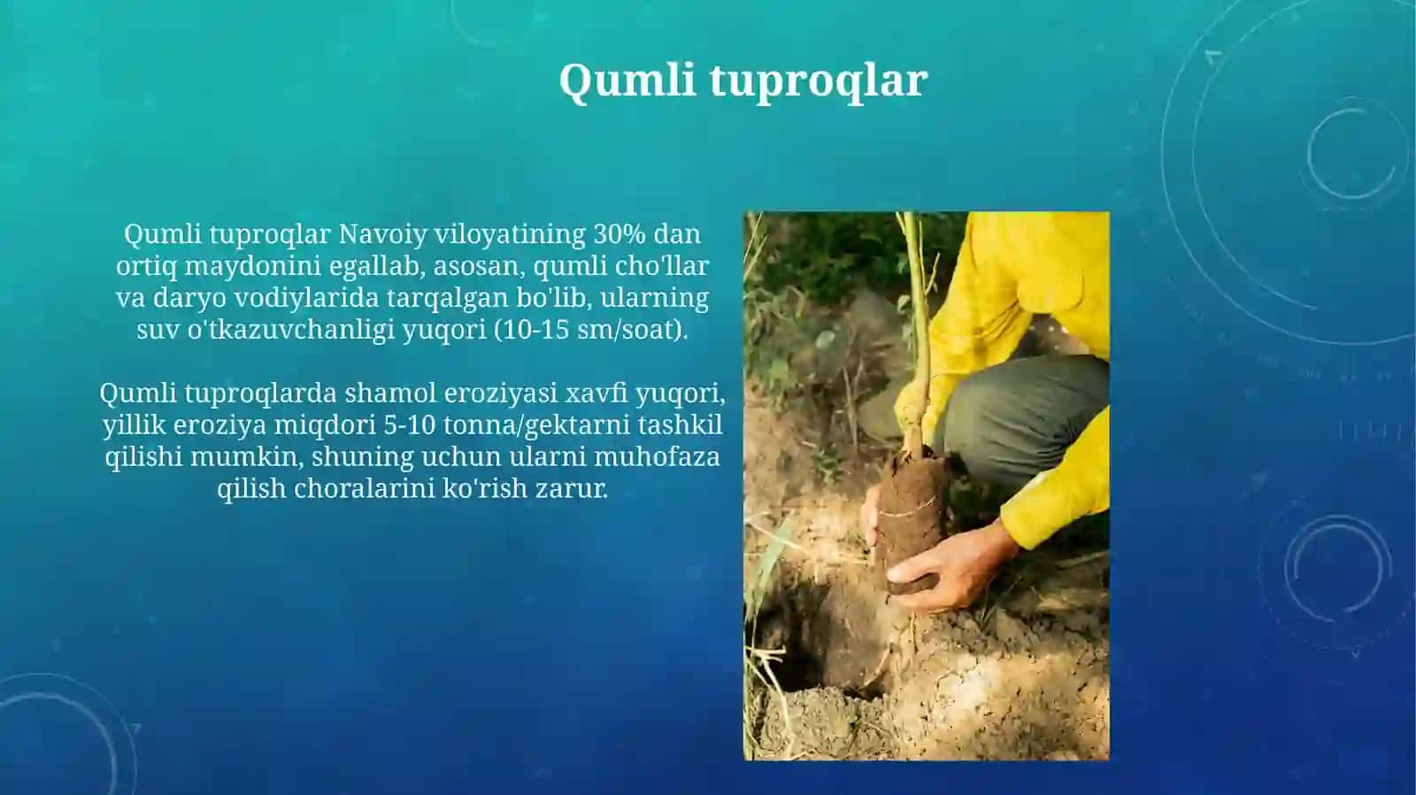 Qumli tuproqlar Navoiy viloyatida 3