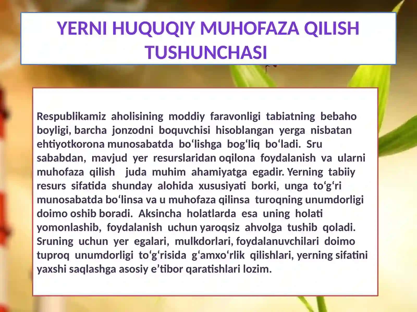 YERNI HUQUQIY MUHOFAZA QILISH VA YER QONUNCHILIGINI BUZGANLIK UCHUN JAVOBGARLIK 3