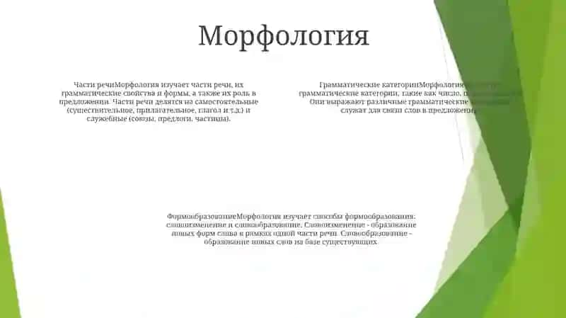 Грамматика Русского Языка 3