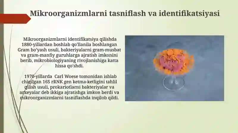 Mikrobiologiya fani rivojlanishi 3