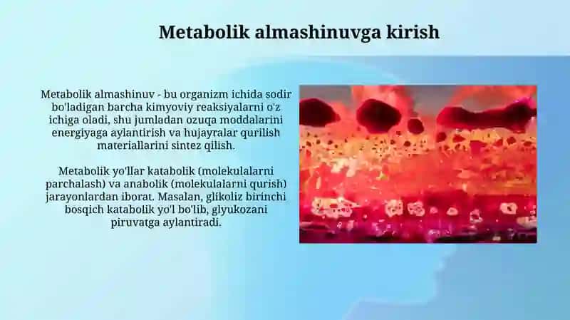 Fermentlar va metabolizm 3