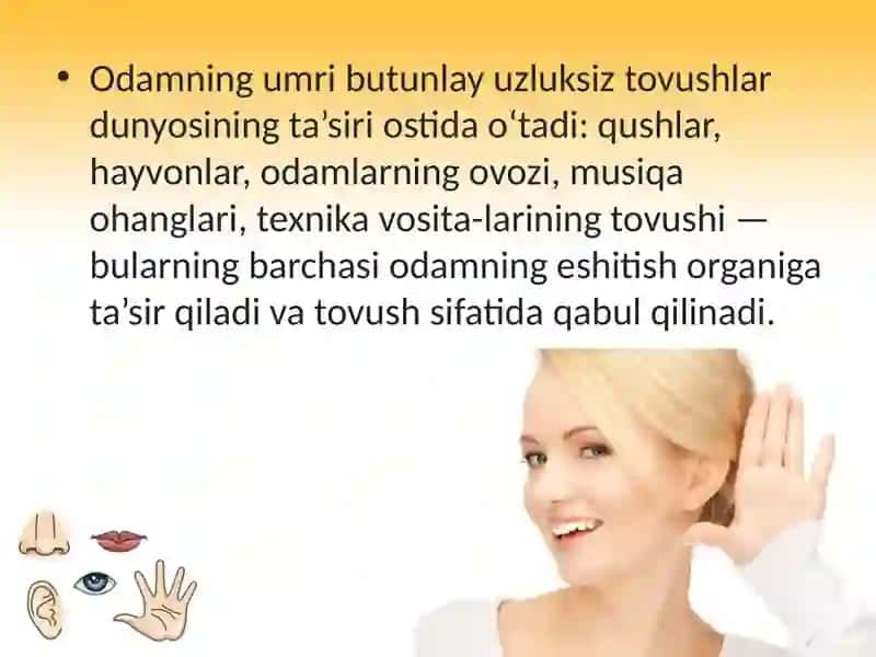 Eshitish organi 3