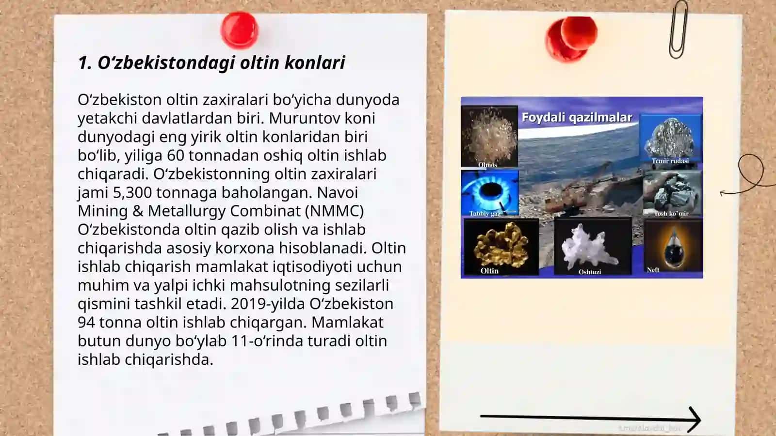 Oʻzbekistonning foydali qazilmalari haqida maʼlumotlar tayyorlash va xaritada belgilash 3