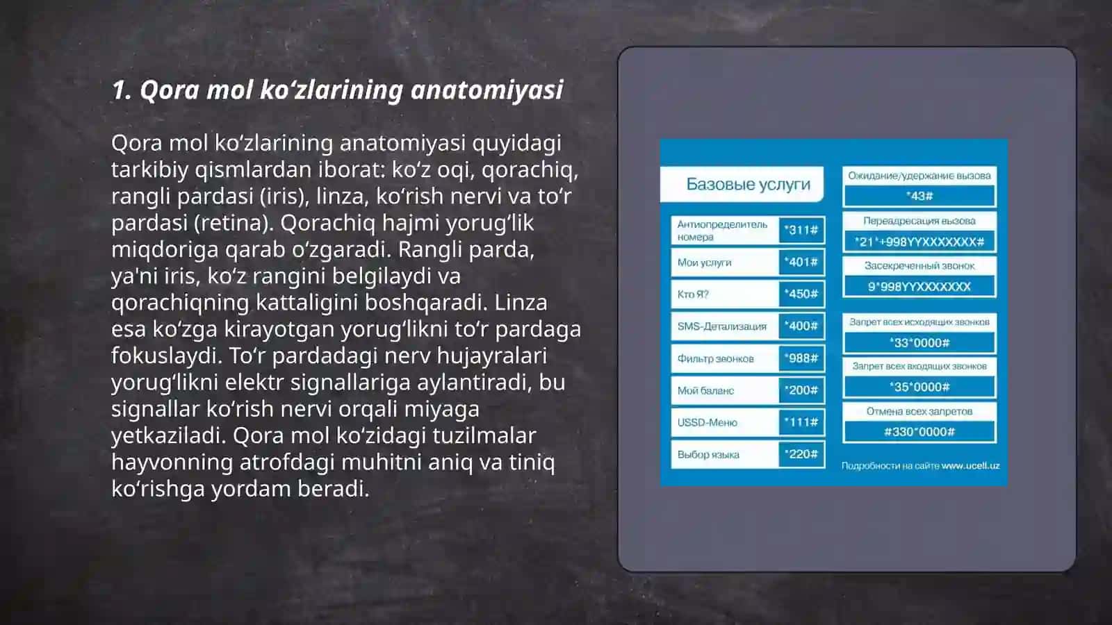 Qora mol koʻzlarini umumiy va xususiy tekshirish usullari 3