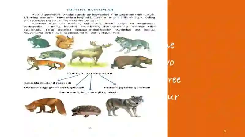 hayvonlar haqida metodlar 3