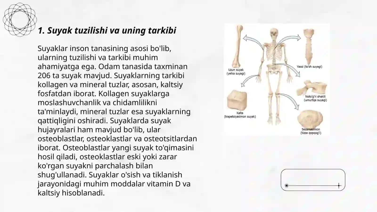 Suyak tuzilishi va uning tarkibi 3