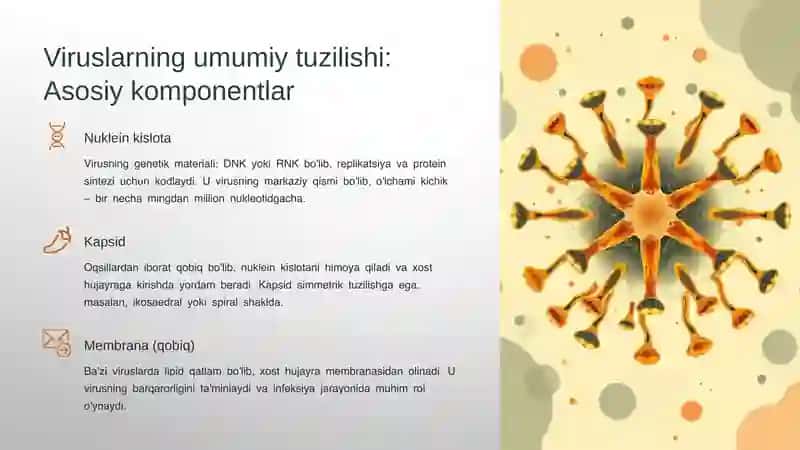 Viruslar. Umumiy tuzilishi va farqlari 3