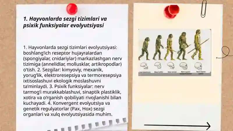 Hayvonot olamida psixik funksiyalar evolutsiyasi 3
