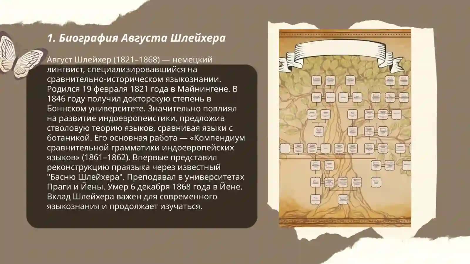 Биография Августа Шлейхера 3