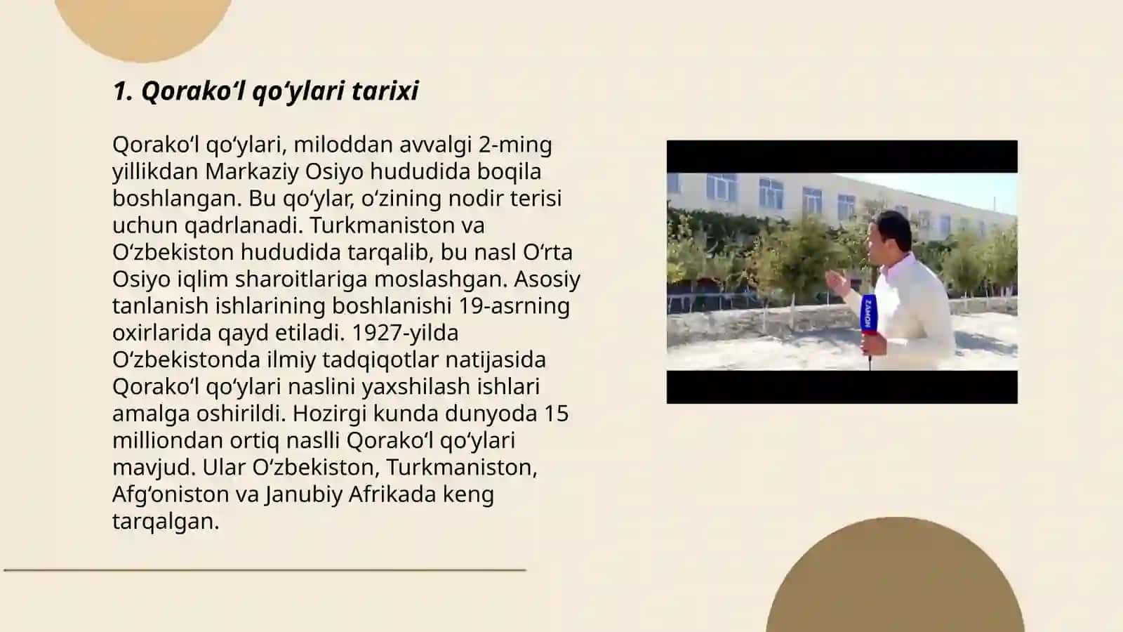 Qorako‘l qo‘ylari tarixi 3