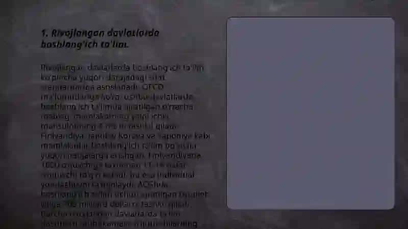 Rivojlangan davlatlarda boshlang'ich ta'lim 3