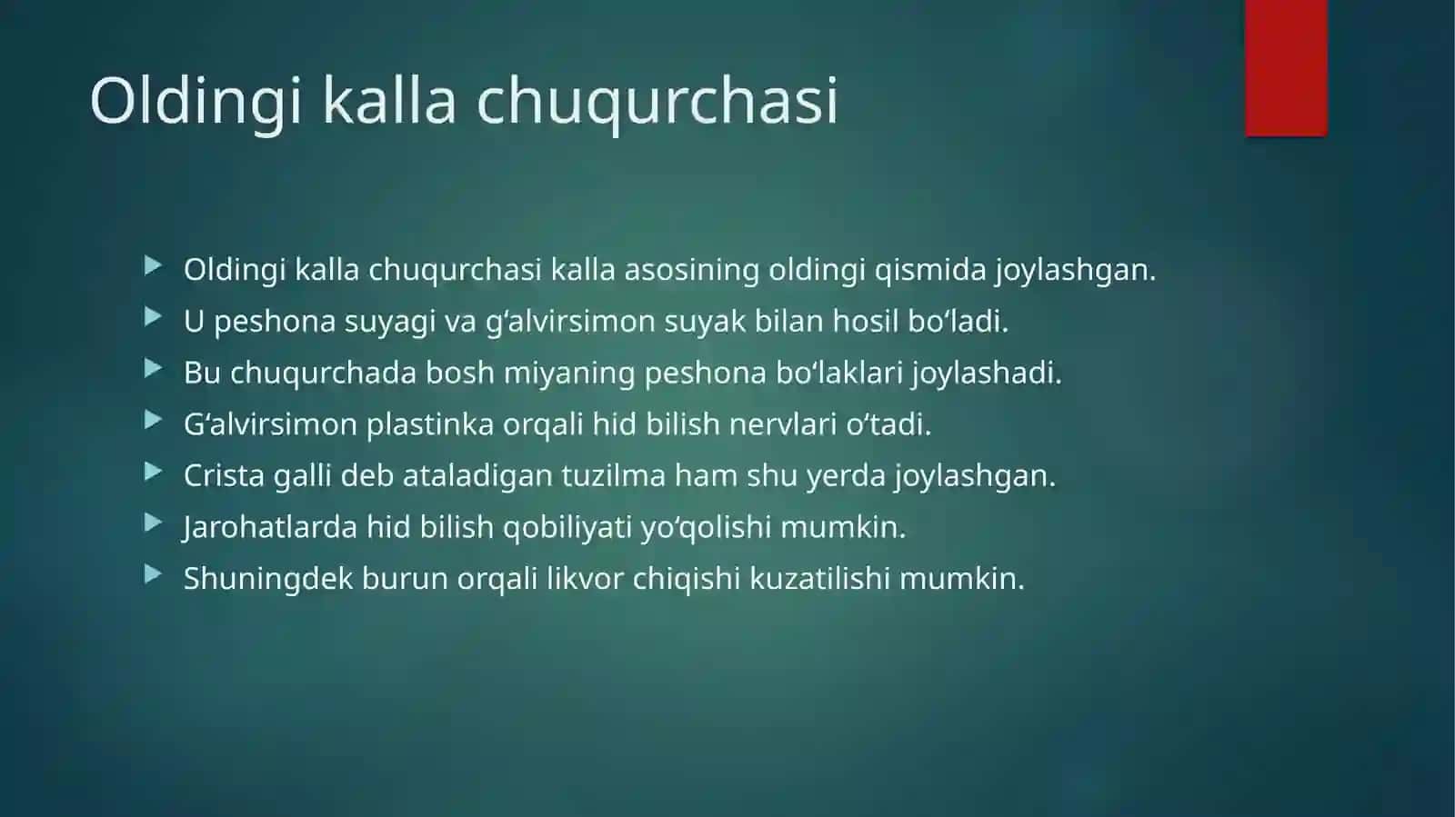 Kalla suyagi asoslari klinik anatomiyasi 3