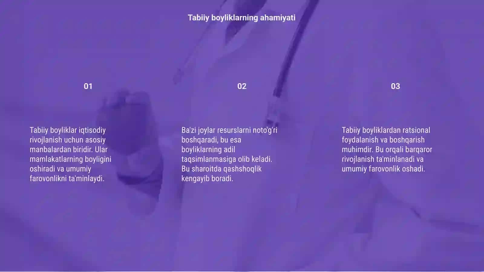 Tabiiy boyliklar 3