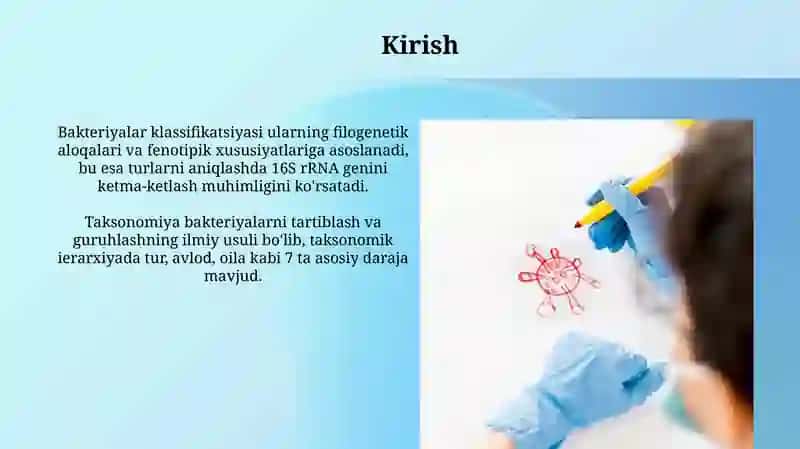 Bakteriyalarning klassifikatsiyasi, taksonomiyasi va nomenklaturasi 3
