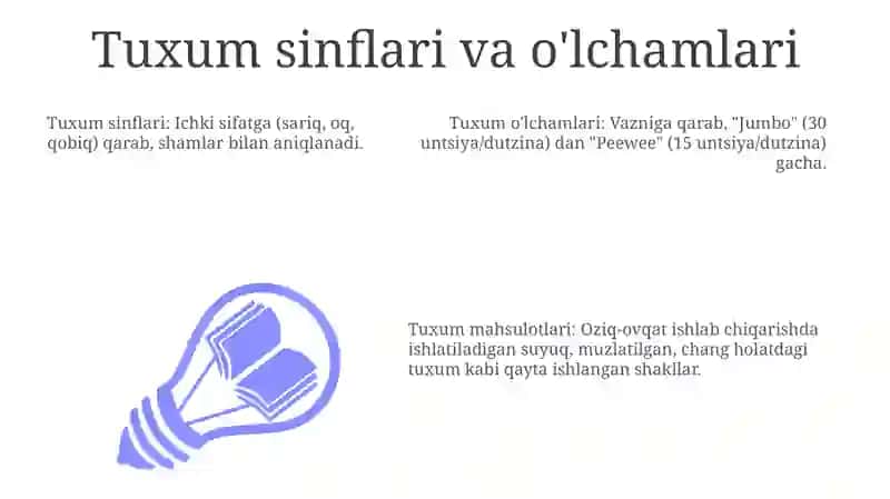 Tuxum va tuxum maxsulotlari 3