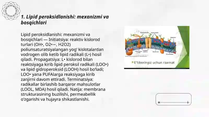 Lipidlarni peroksidlanishi va hujayra shikastlanishi patogenezidagi ahamiyati 3