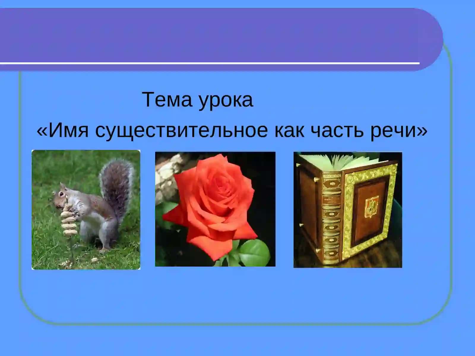 Имя существительное как часть речи 3