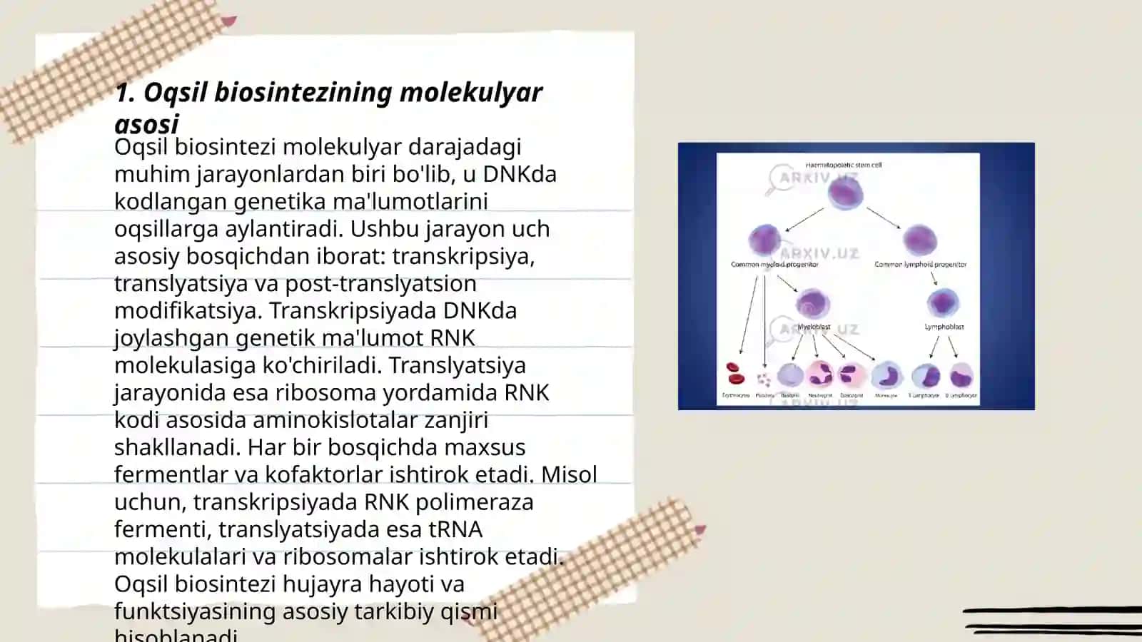 Oqsil biosintezi 3