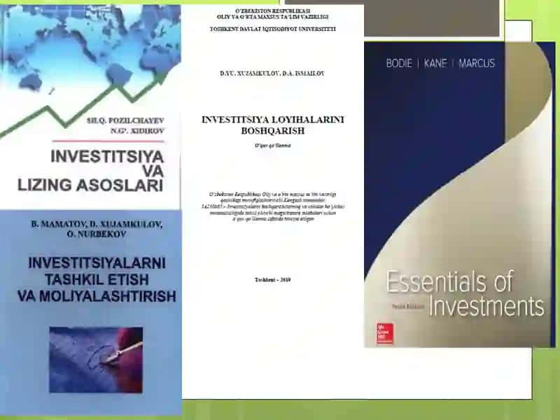 Investitsiya - mohiyati, iqtisodiy mazmuni va turlari 3