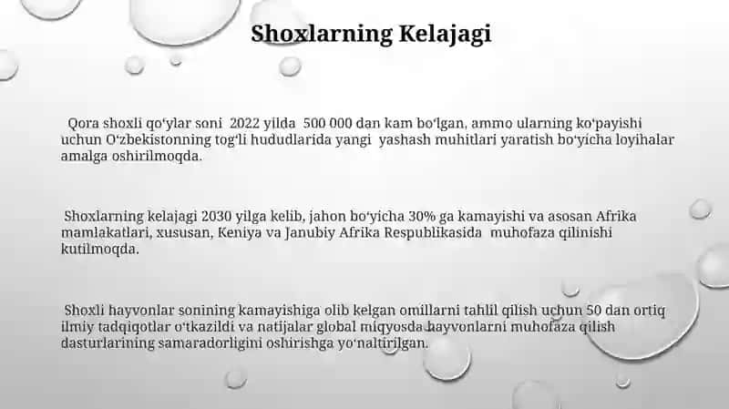 Òrmon ot zotlari 3
