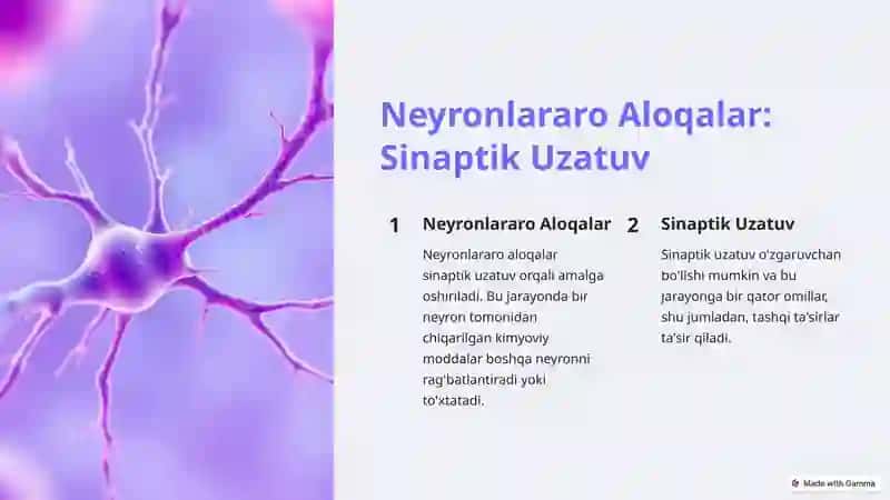 Miyacha: Neyronlararo Aloqalar va Tashqi Ta'sirlarga Reaktsiyalar 3